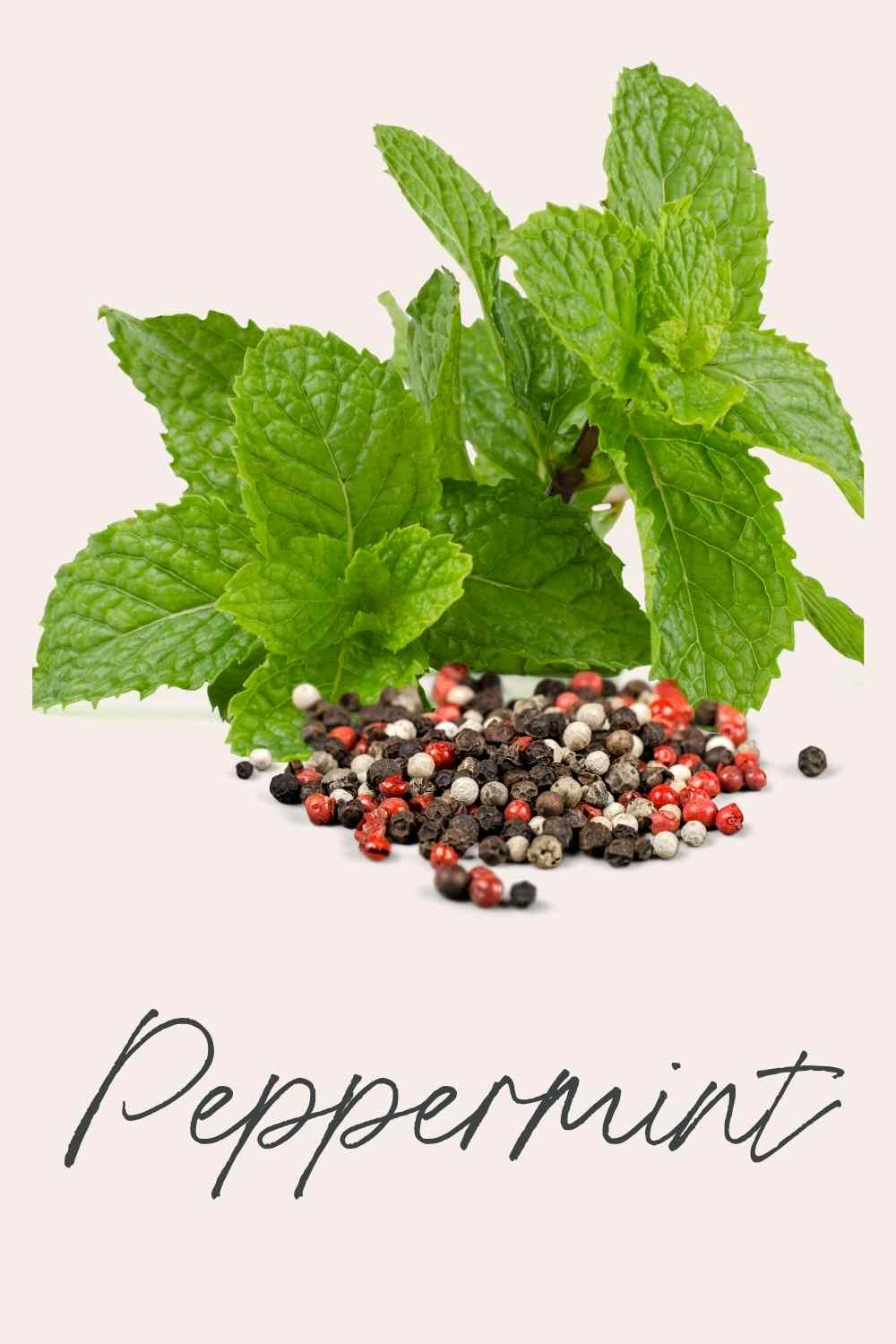 cold sore treatment peppermint oil