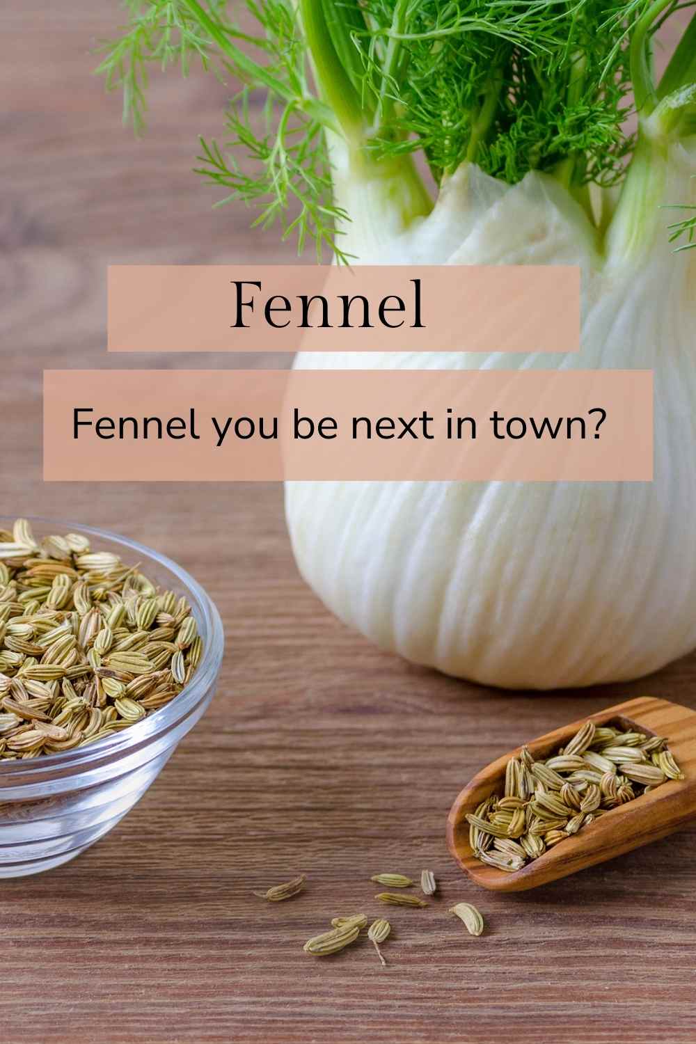 ibs fennel tea