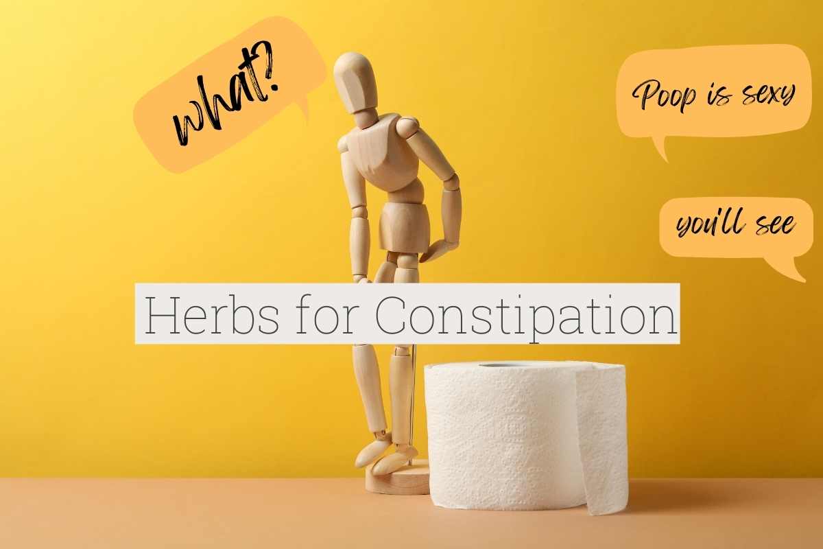 Poop is Sexy! 8 Warrior Herbs for Constipation