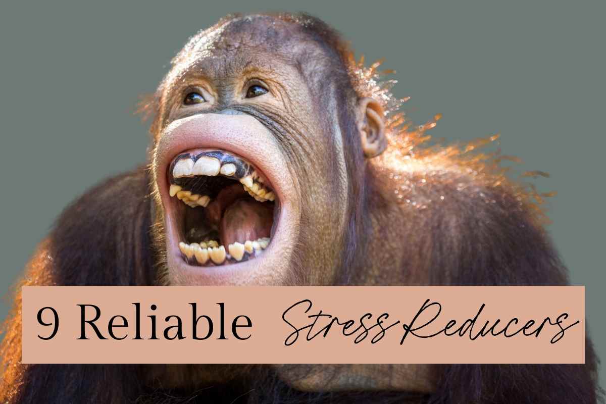 Holistic Healing 9 Reliable Stress Reducers that Work!