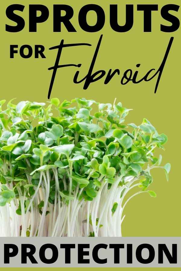 sprouts for shrinking fibroids